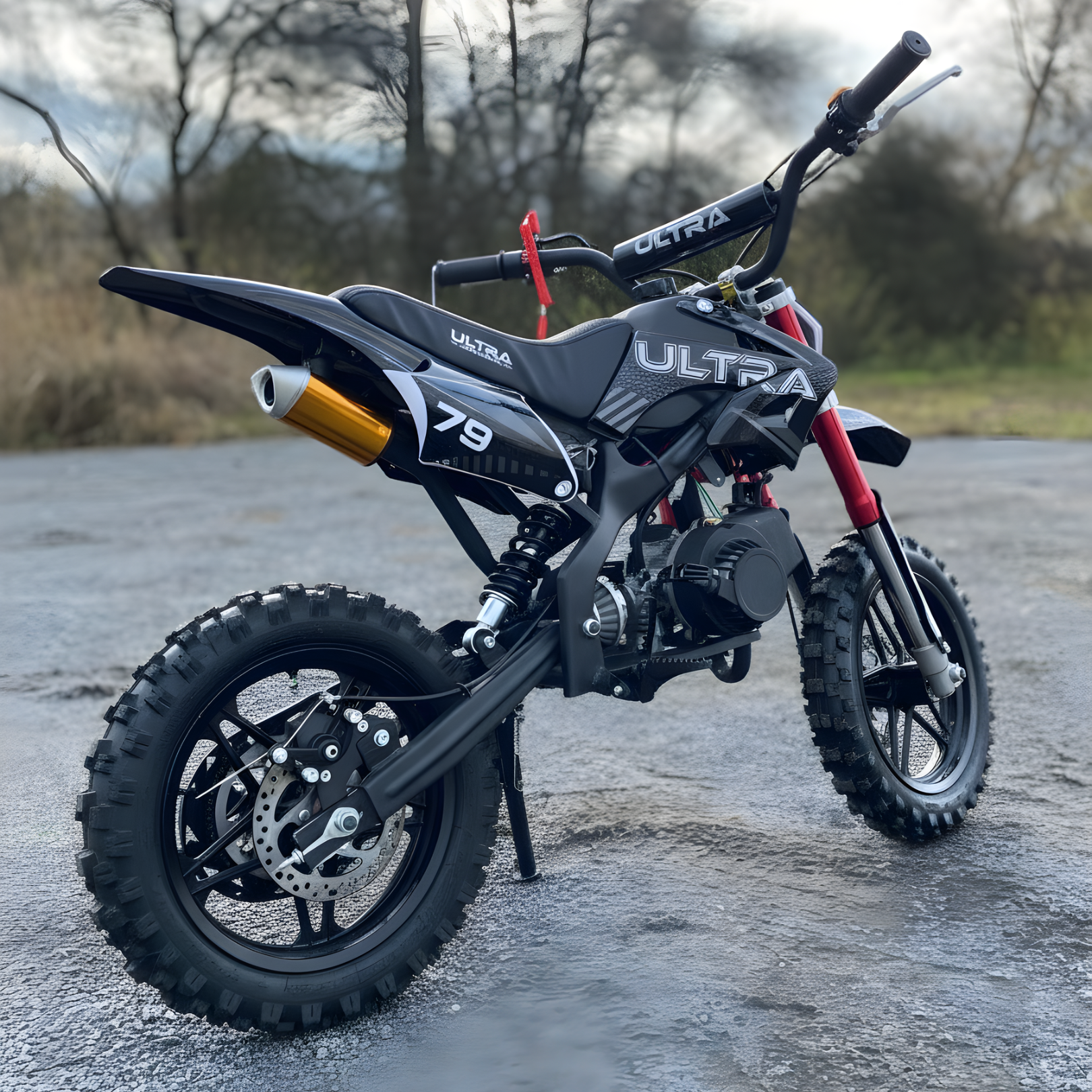 PitBike Minimoto Cross FLASH 50cc 10/10 Motocross